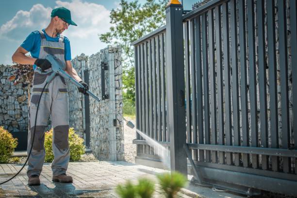 Animal Enclosure Cleaning in Deer Park, IL
